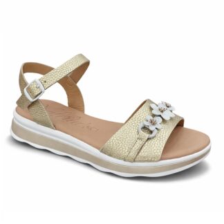 Valeria's 2614 χρυσό